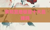 家知宜地板是十大品牌吗