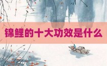 锦鲤的十大功效是什么
