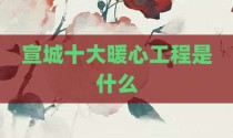 宣城十大暖心工程是什么