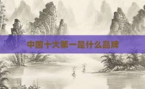 中国十大第一是什么品牌