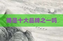 播是十大品牌之一吗