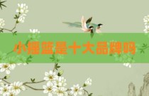 小摇篮是十大品牌吗