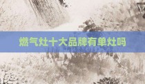 燃气灶十大品牌有单灶吗