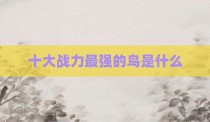 十大战力最强的鸟是什么