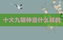 十大九精神是什么样的
