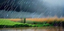 梦见下雨是什么意思