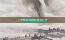 十大疾病保险标准是什么