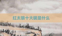 红太狼十大碗是什么