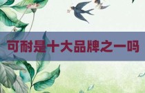 可耐是十大品牌之一吗