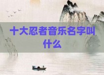 十大忍者音乐名字叫什么