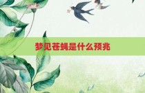 梦见苍蝇是什么预兆