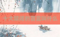 十大禁闭的盲盒叫什么