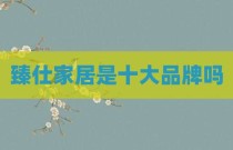 臻仕家居是十大品牌吗