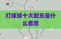 打球球十大配乐是什么意思