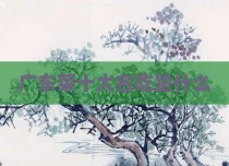 广东菜十大名吃是什么