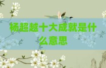 杨超越十大成就是什么意思
