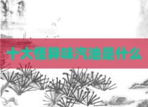 十大怪异味汽油是什么
