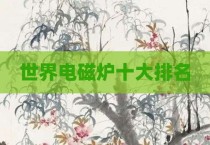 世界电磁炉十大排名
