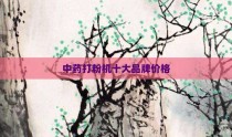 中药打粉机十大品牌价格