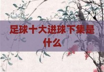 足球十大进球下集是什么