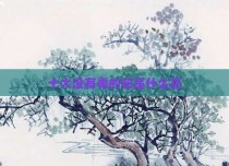 十大没有毒的花是什么花