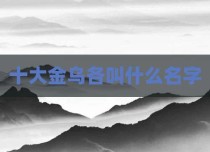 十大金乌各叫什么名字