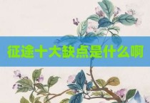 征途十大缺点是什么啊