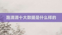 跑滴滴十大数据是什么样的