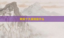 网安十大漏洞是什么