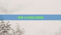 青海十大投标公司排名