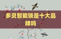 多灵智能锁是十大品牌吗