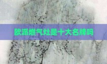 欧派燃气灶是十大名牌吗