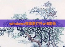 windows在哪里打开wifi密码