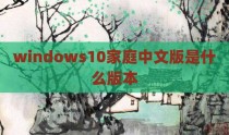 windows10家庭中文版是什么版本
