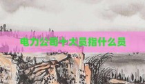 电力公司十大员指什么员