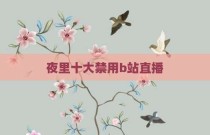 夜里十大禁用b站直播