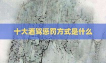 十大酒驾惩罚方式是什么