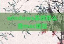 windows系统怎么查mac地址