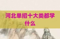 河北单招十大类都学什么