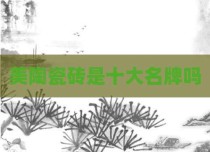 美陶瓷砖是十大名牌吗