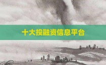 十大投融资信息平台