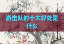 游击队的十大好处是什么