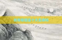 尚青格貂是十大名牌吗