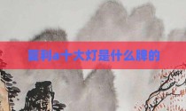 夏利a十大灯是什么牌的