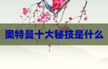 奥特曼十大秘技是什么