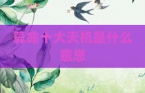 算命十大天机是什么意思