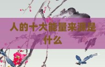 人的十大能量来源是什么