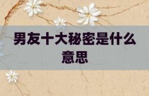 男友十大秘密是什么意思
