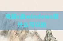 电脑c盘windows里什么可以删