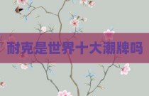 耐克是世界十大潮牌吗